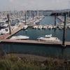 Bob Lapointe - @bob.lapointe1 - TikTok
