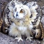 Bob Laskowski - @boblaskowski - Instagram
