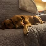 Bob Lawless - @fivetiger - Instagram