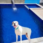 Bob lazer - @boblazer9 - Instagram