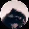 user - @boblazer3 - TikTok