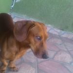@bob_lazzarin - Instagram