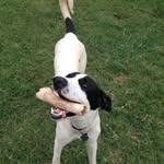 Bob Lester - @bljr4345 - Instagram