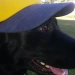 Bob Lester - @bobelee_51 - Instagram