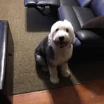 Bob Levesque - @bob.levesque.568 - Instagram