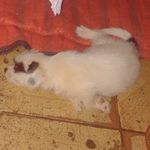 @bob_lilly._ - Instagram