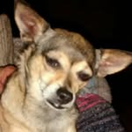 Bob Lilly - @boblilly1973 - Instagram
