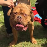 @bob_lilly_bob - Instagram