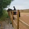 lilly_bob - @lilly_bob4 - TikTok