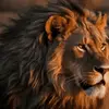 Bob Lion - @boblio - TikTok