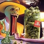 bob lion - @weed.boblion - Instagram