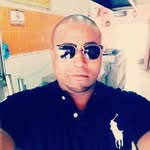 Bob Lion - @lion.bob - Instagram