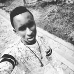 Bob_lion_official - @boblionofficial - Instagram