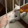 Teresa Boblitz - @teresaboblitz - TikTok