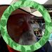 Bob Lively - Facebook