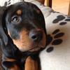 Bob Locke - @bob.locke3 - TikTok