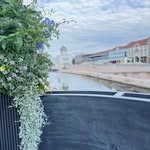 Bob Looney - @looney.bob - Instagram