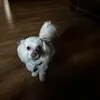 Bobby Lovelace - @bobby.lovelace - TikTok
