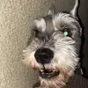 Bobby Ludwig - @bobby.ludwig - TikTok