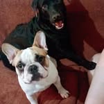 bob e luke - @bob_luke11958 - Instagram