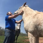 Bob Luke - @thunder_mountain_stables - Instagram