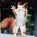 Bob Luke - Facebook