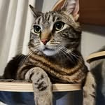 Bob_Luke_and_Denna - @bob_luke_and_denna - Instagram