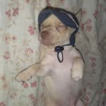 Bob luke Irmaos - @boblukeirmaos - Instagram