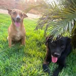 BobLuke - @bob._.luke - Instagram