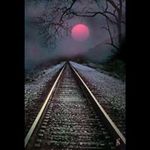 Bob Lyon - @lyon.bob - Instagram