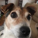 Bob Lyon - @bob__lyon - Instagram
