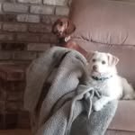Bob Lytle - @lytle5649 - Instagram
