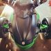 Bobbi Maffeo - Facebook