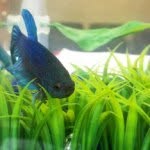 Bob Magooch - @bob_magooch - Instagram