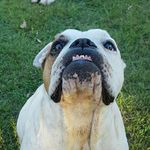 Magoo N Bob - @magoonbob - Instagram