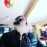 mohd ilyas pashaa - @bob____maly____ - Instagram