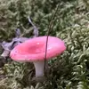 MangosBobs - @mangosbobs - TikTok