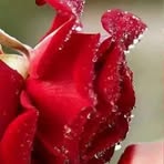 Bob Marco - Facebook