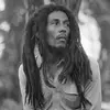 🎶 Bob Marley 🎶 👑 - @rodrigonestamendo - TikTok