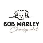 Bob Marley - @bobmarley.chaospudel - Instagram