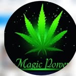 Bob Marley songs - @dummu_songs_video - Instagram