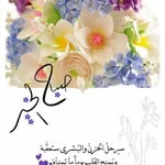 @bobmarzouk - Instagram