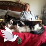 Bob Maurer - @bob.maurer.5220 - Instagram
