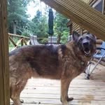 Bob Maxwell - @maxwell2764 - Instagram