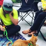 Bob Maxwell - @bob.maxwell - Instagram