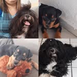 Bob Juliano e Mazé Julieta - @bobjuliano_e_mazejulieta - Instagram