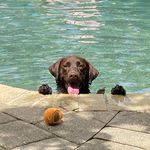 Bob McCaskill - @mccaskillbob - Instagram