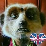 Bob Mccrae - @bob.mccrae.589 - Instagram