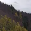 Bob McDonald - @bob.mcdonald61 - TikTok