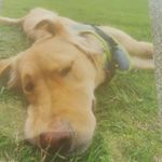 BOB mcgarry - @tam.mcgarry - Instagram